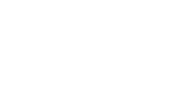 GP+S Consulting